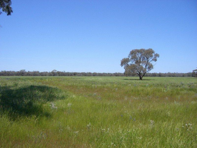 Barham NSW 2732