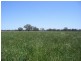 Barham NSW 2732