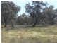 Barham NSW 2732
