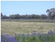 Barham NSW 2732