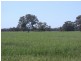 Barham NSW 2732