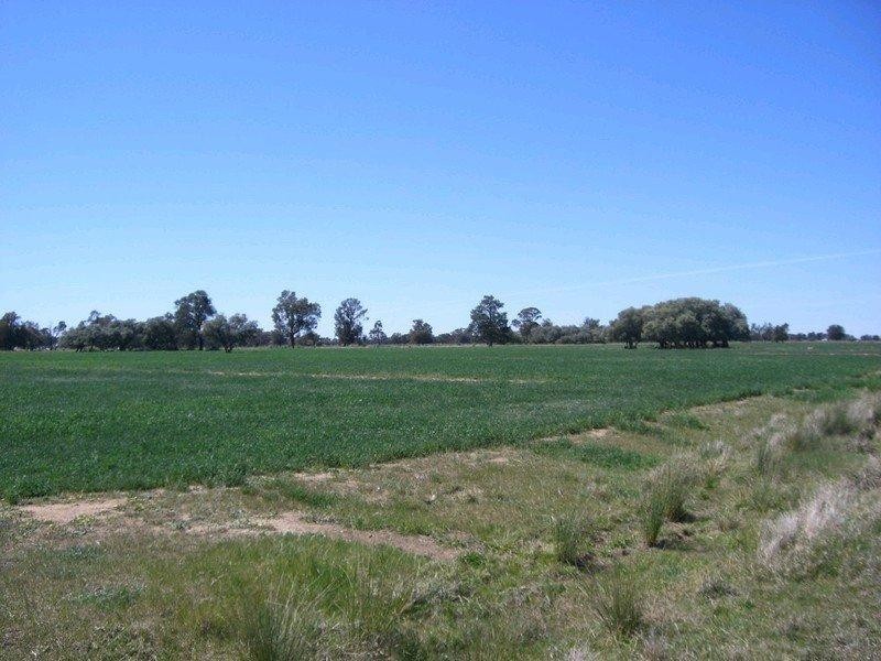 1/ 2,64 Monimail Road, Deniliquin NSW 2710