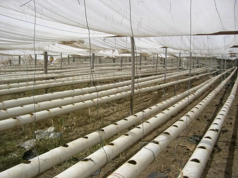 00 Cobb Highway, Deniliquin NSW 2710