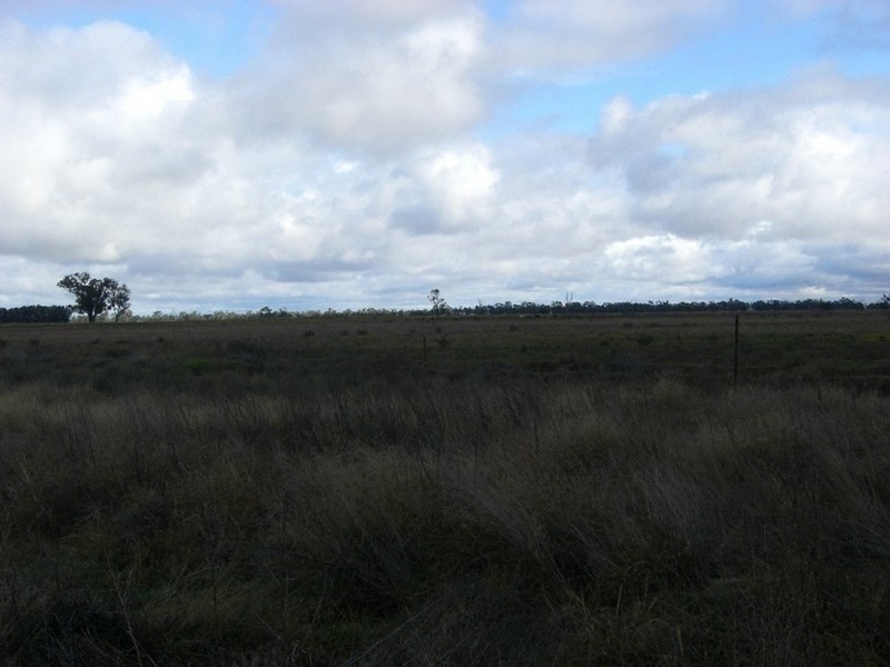 96 Warragoon Road, Deniliquin NSW 2710