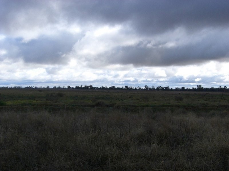 96 Warragoon Road, Deniliquin NSW 2710