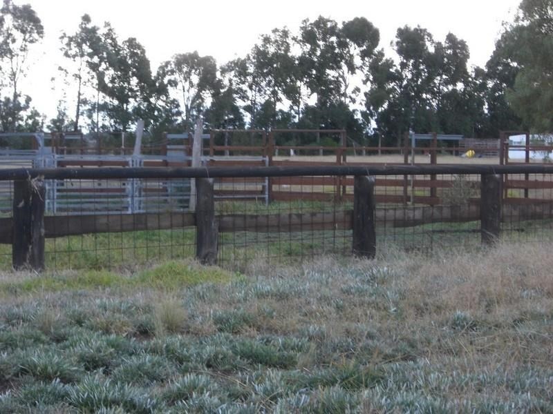 96 Warragoon Road, Deniliquin NSW 2710