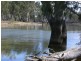 00 Moulamein Road, Deniliquin NSW 2710