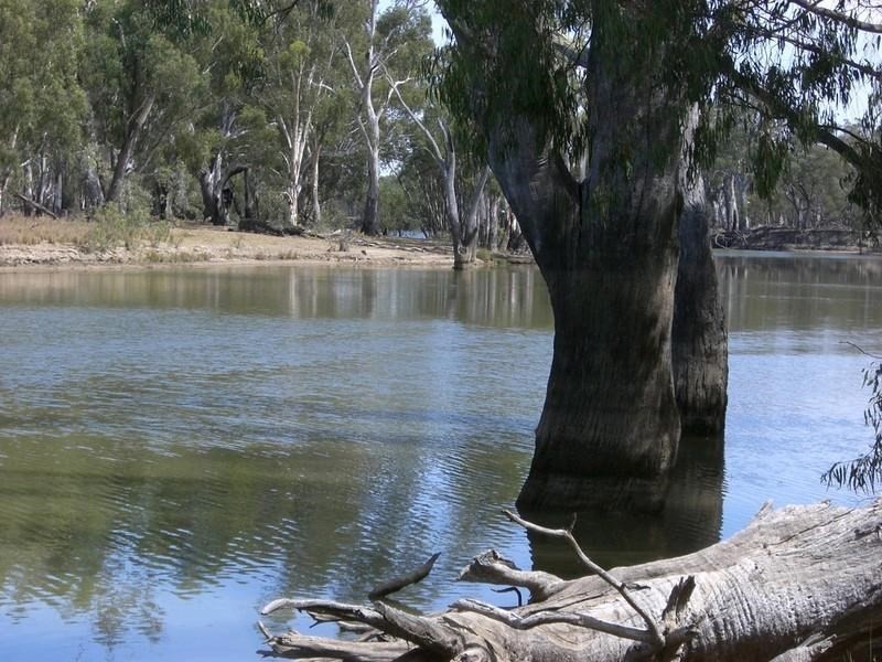 00 Moulamein Road, Deniliquin NSW 2710