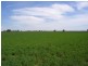 00 Moulamein Road, Deniliquin NSW 2710