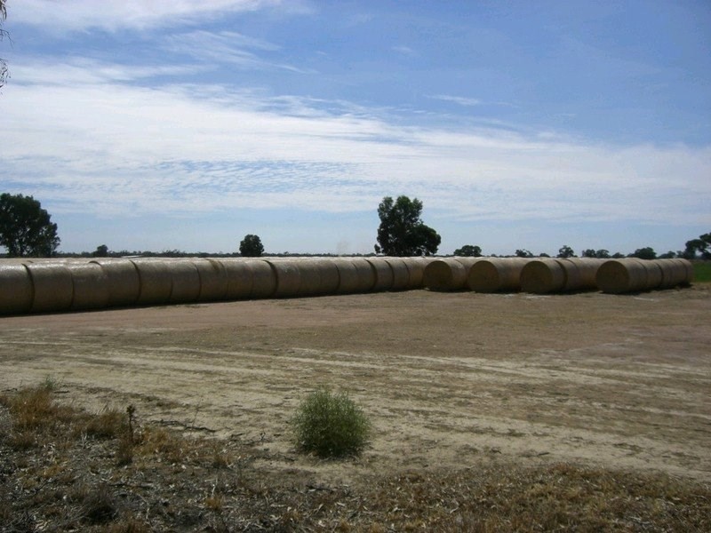 00 Moulamein Road, Deniliquin NSW 2710