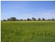 00 Moulamein Road, Deniliquin NSW 2710