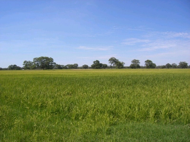 00 Moulamein Road, Deniliquin NSW 2710