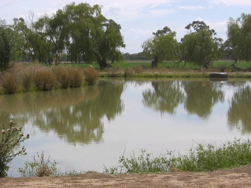 00 Moulamein Road, Deniliquin NSW 2710
