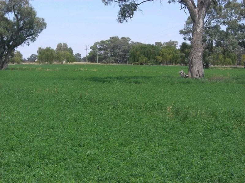 00 Moulamein Road, Deniliquin NSW 2710