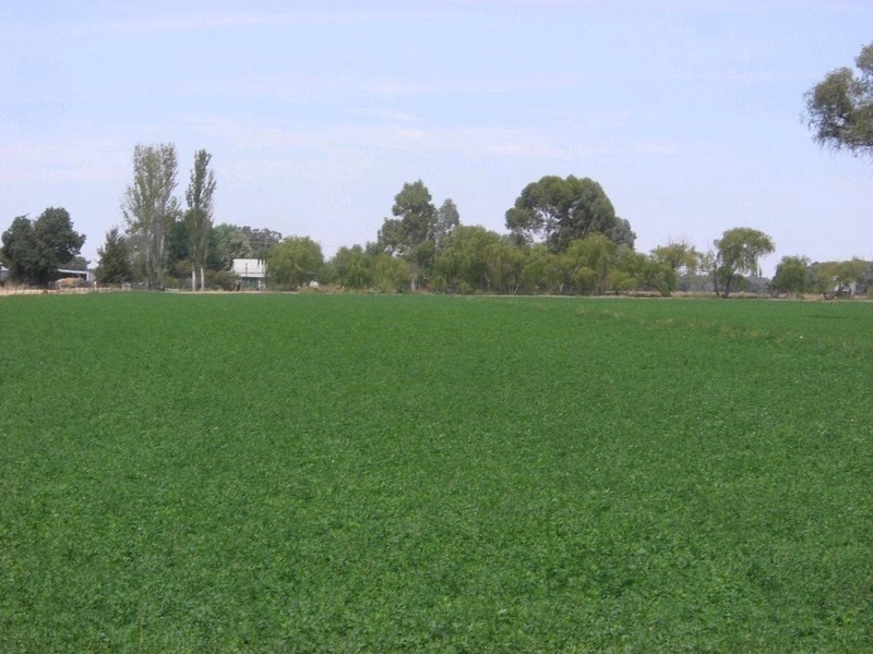 00 Moulamein Road, Deniliquin NSW 2710