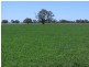 00 Moulamein Road, Deniliquin NSW 2710