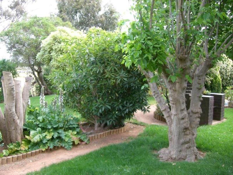 310 Thyra Road, Mathoura NSW 2710