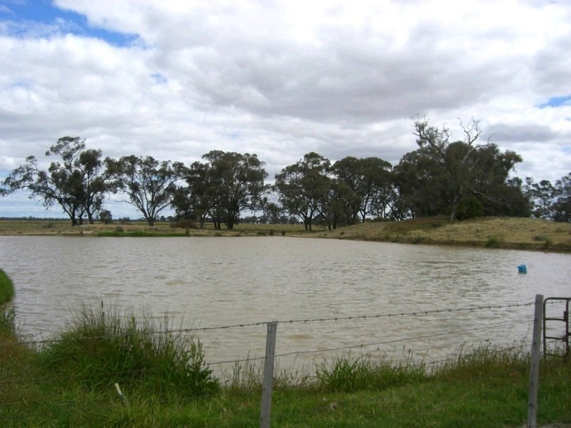 310 Thyra Road, Mathoura NSW 2710