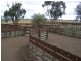 310 Thyra Road, Mathoura NSW 2710