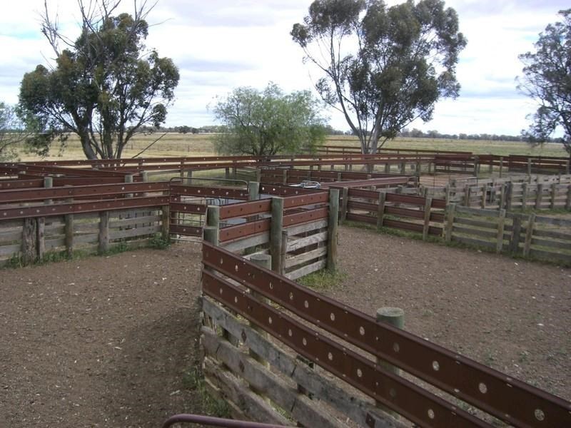 310 Thyra Road, Mathoura NSW 2710