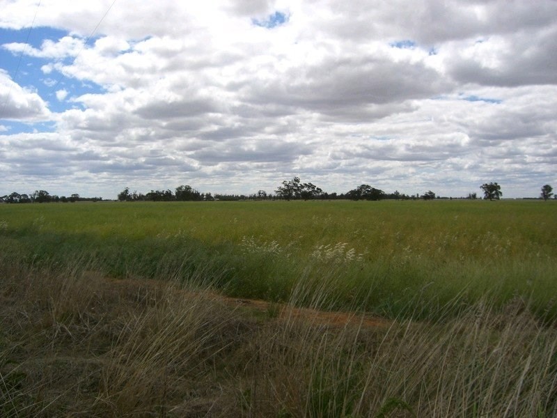 310 Thyra Road, Mathoura NSW 2710