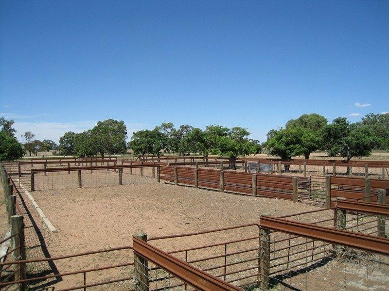 00 Wakool Road, Deniliquin NSW 2710