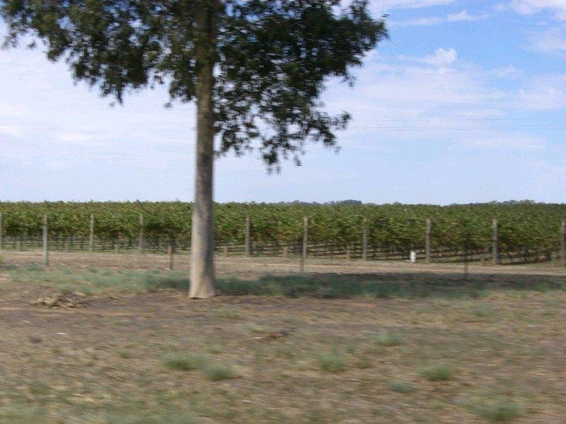 00 Barooga Road, Tocumwal NSW 2714