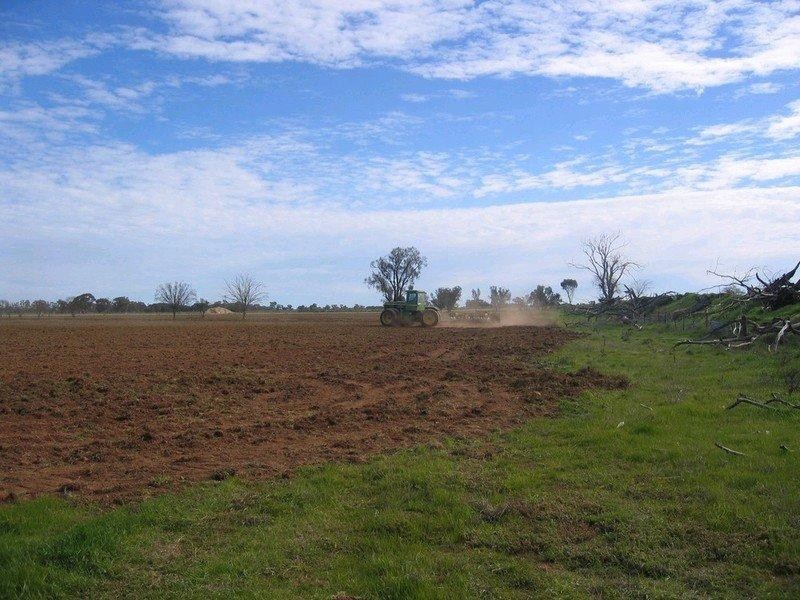 20342 Riverina Highway, Deniliquin NSW 2710