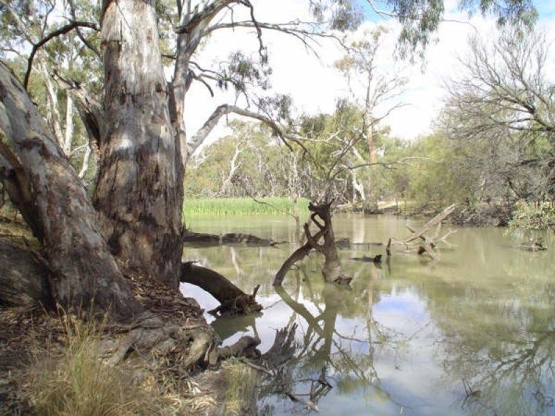 Lot 5 Billabong Creek Estate, Conargo NSW 2710