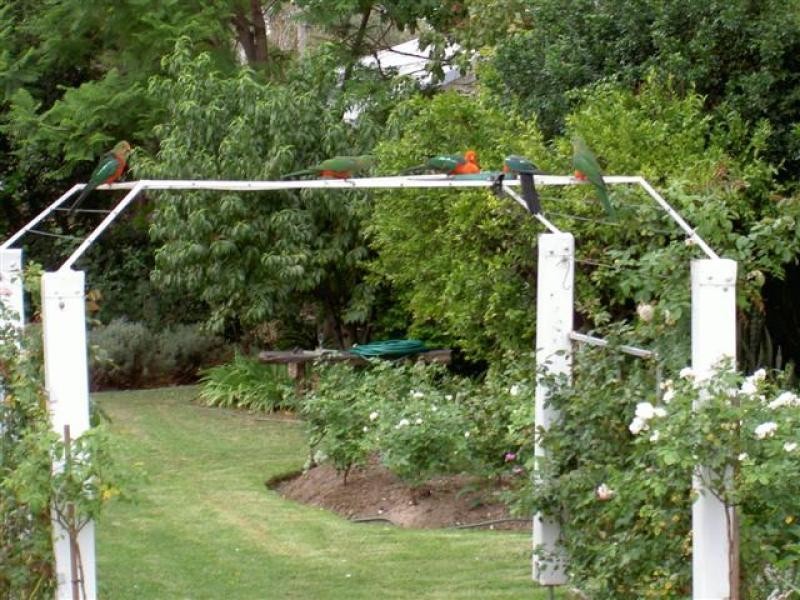 Cecil Plains QLD 4407