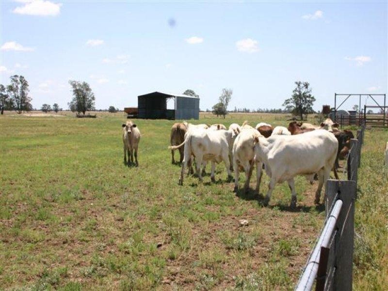 The Gums QLD 4406