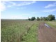 Dalby QLD 4405