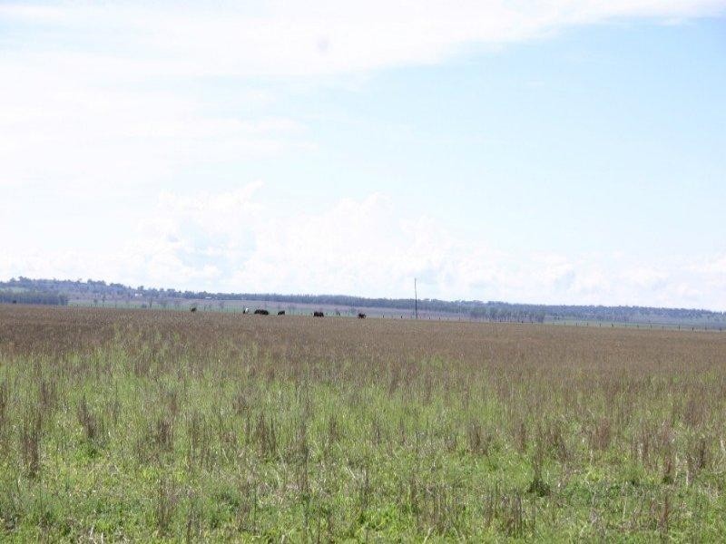Dalby QLD 4405