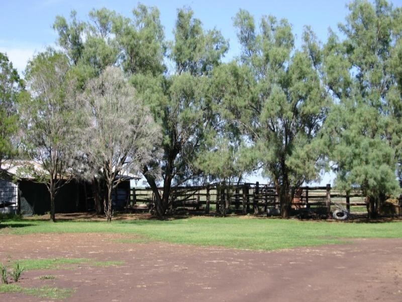 Dalby QLD 4405