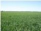 Dalby QLD 4405
