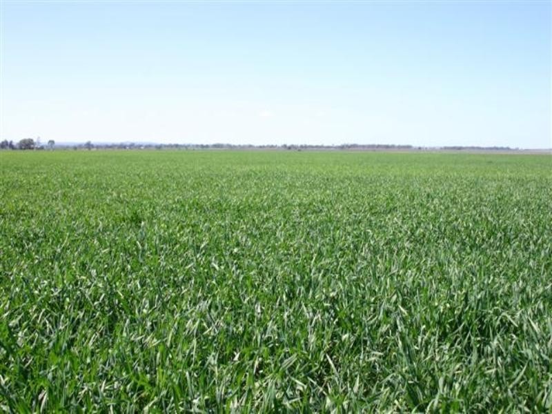 Dalby QLD 4405