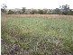 Dalby QLD 4405