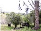 Dalby QLD 4405