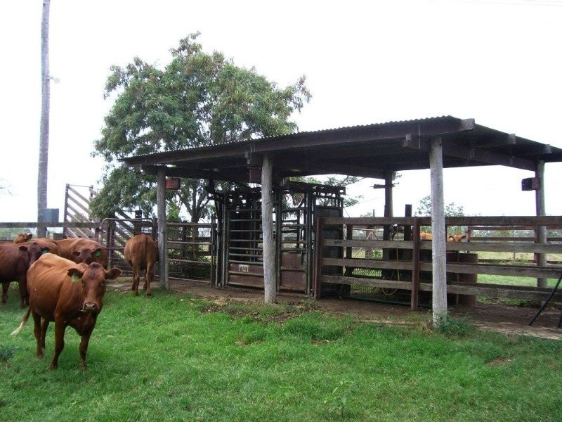 Biddeston QLD 4401