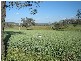 Biddeston QLD 4401