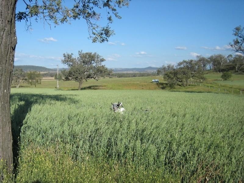 Biddeston QLD 4401