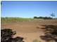 Chinchilla QLD 4413