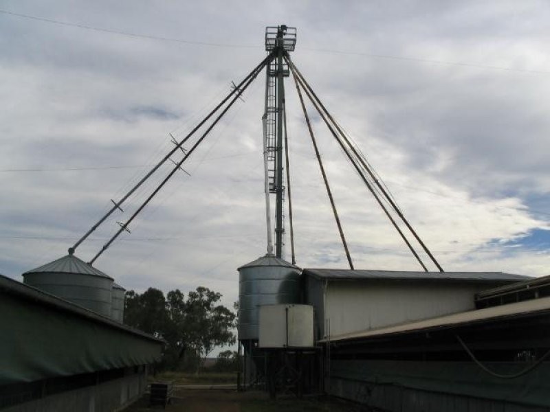 Dalby QLD 4405