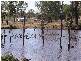 Dalby QLD 4405