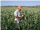 0 Greenfields, Wellcamp QLD 4350
