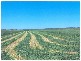 0 Greenfields, Wellcamp QLD 4350