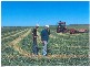 0 Greenfields, Wellcamp QLD 4350