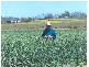 0 Greenfields, Wellcamp QLD 4350