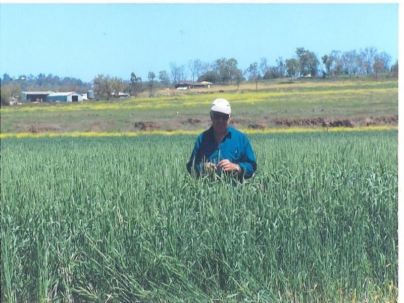 0 Greenfields, Wellcamp QLD 4350