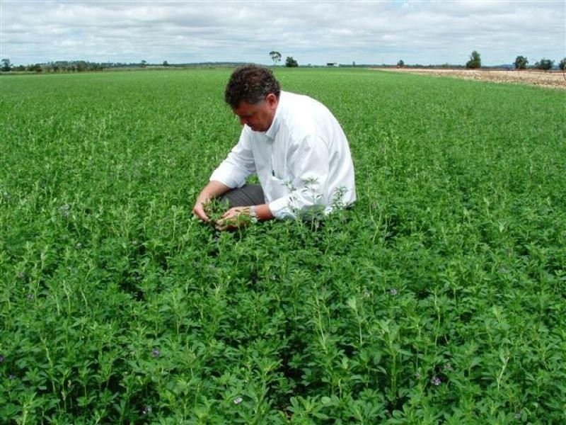 Kingsthorpe QLD 4400